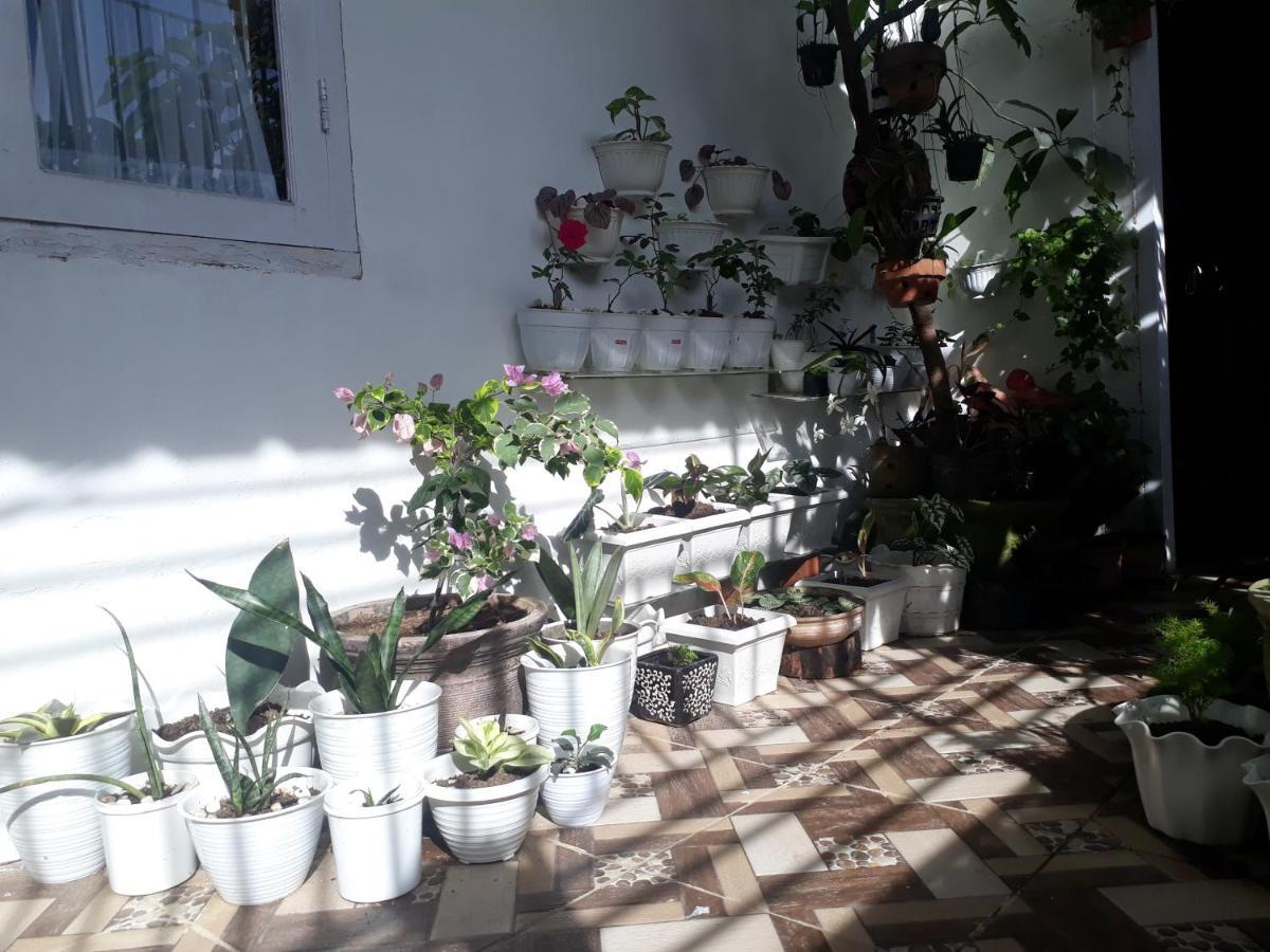 Bumimi Homestay Painan Extérieur photo