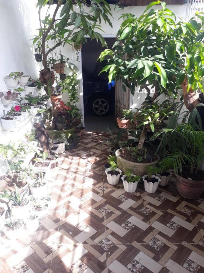 Bumimi Homestay Painan Extérieur photo